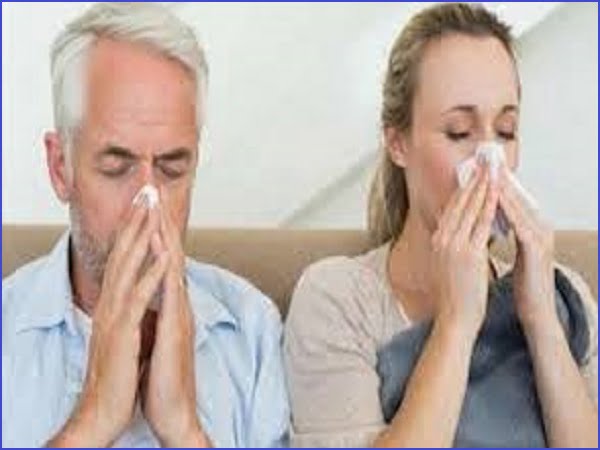 Representante para Florianópolis, São José SC, Palhoça SC, Biguaçu SC, Antônio Carlos SC, São Pedro de Alcântara SC, Santo Amaro da Imperatriz e demais cidades da região das legítimas Gotas para Sinusite e Rinite JARAGUA DO SUL SC - Aplicação tratamento em São José (SC)