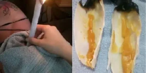 Onde comprar cone chinês perto de mim 1 Onde comprar cone chinês perto de mim | onde comprar cone hindu perto de mim | onde comprar vela hopi perto de mim| onde comprar vela de ouvido perto de mim. Você pode adquirir nossos cones chineses de qualidade diretamente através do nosso site ou entrando em contato conosco. Enviamos para todo o Brasil pelos Correios e oferecemos frete grátis sob condições de compra. Garanta já o seu! Onde comprar cone chinês perto de mim | onde comprar cone hindu perto de mim | onde comprar vela hopi perto de mim| onde comprar vela de ouvido perto de mim. Você pode adquirir nossos cones chineses de qualidade diretamente através do nosso site ou entrando em contato conosco. Enviamos para todo o Brasil pelos Correios e oferecemos frete grátis sob condições de compra. Garanta já o seu! 23 de outubro de 2025 Onde comprar cone chinês perto de mim | onde comprar cone hindu perto de mim | onde comprar vela hopi perto de mim| onde comprar vela de ouvido perto de mim. Você pode adquirir nossos cones chineses de qualidade diretamente através do nosso site ou entrando em contato conosco. Enviamos para todo o Brasil pelos Correios e oferecemos frete grátis sob condições de compra. Garanta já o seu! Onde comprar cone chinês perto de mim | onde comprar cone hindu perto de mim | onde comprar vela hopi perto de mim| onde comprar vela de ouvido perto de mim. Você pode adquirir nossos cones chineses de qualidade diretamente através do nosso site ou entrando em contato conosco. Enviamos para todo o Brasil pelos Correios e oferecemos frete grátis sob condições de compra. Garanta já o seu! Onde comprar cone chinês perto de mim | onde comprar cone hindu perto de mim | onde comprar vela hopi perto de mim| onde comprar vela de ouvido perto de mim. Você pode adquirir nossos cones chineses de qualidade diretamente através do nosso site ou entrando em contato conosco. Enviamos para todo o Brasil pelos Correios e oferecemos frete grátis sob condições de compra. Garanta já o seu! Onde comprar cone chinês perto de mim | onde comprar cone hindu perto de mim | onde comprar vela hopi perto de mim| onde comprar vela de ouvido perto de mim. Você pode adquirir nossos cones chineses de qualidade diretamente através do nosso site ou entrando em contato conosco. Enviamos para todo o Brasil pelos Correios e oferecemos frete grátis sob condições de compra. Garanta já o seu! Onde comprar cone chinês, cone hindu, vela hopi, canudo de cera, vela de limpar ouvido